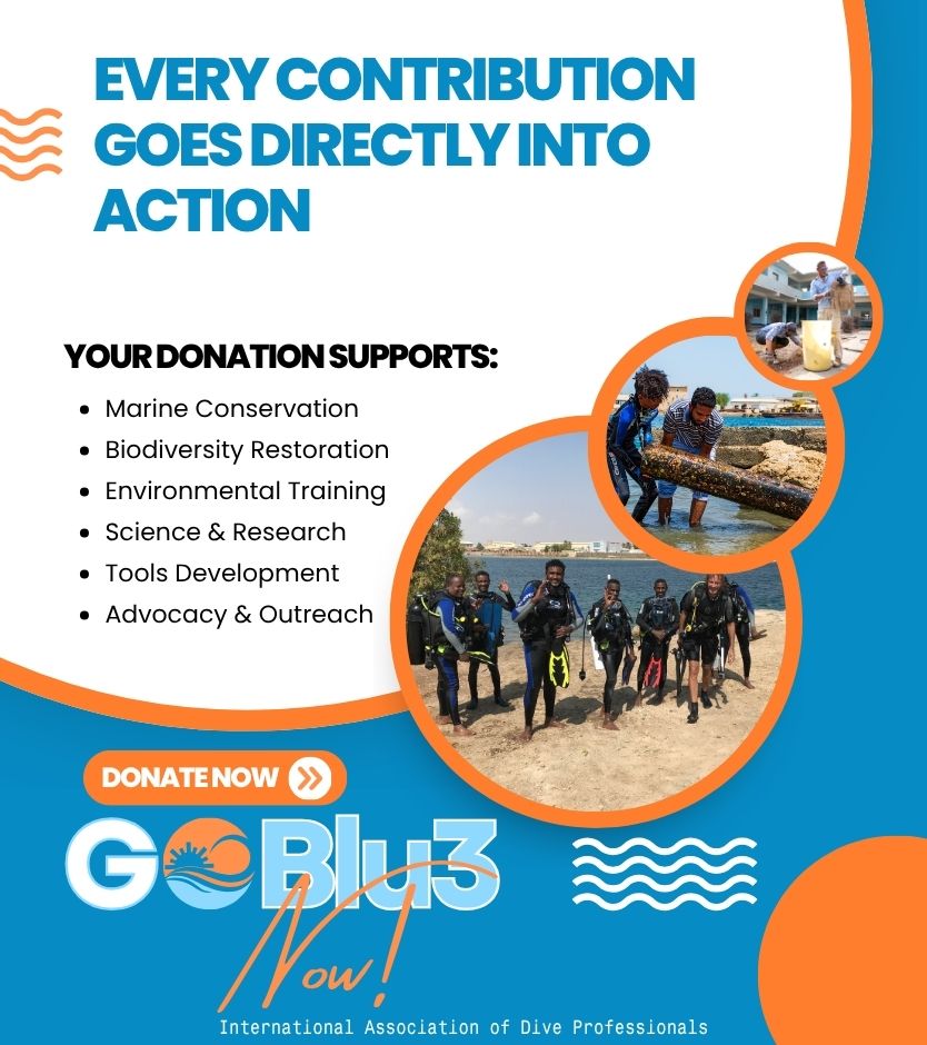 Donate to GoBlu3