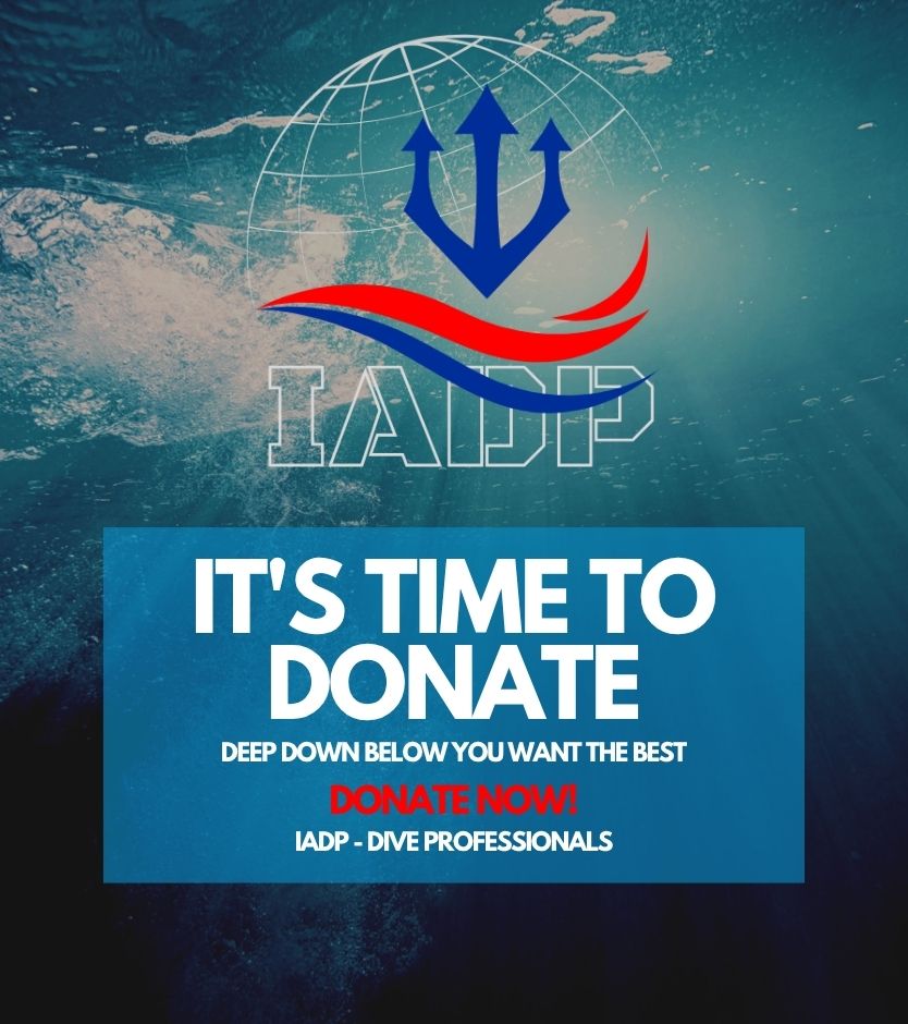Donate to IADP
