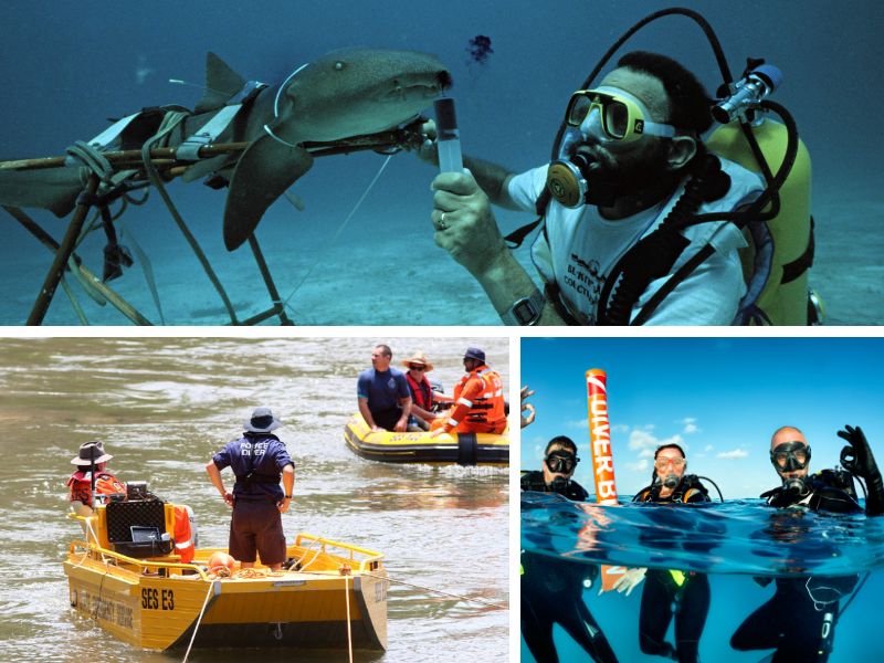 Independent diving professionals